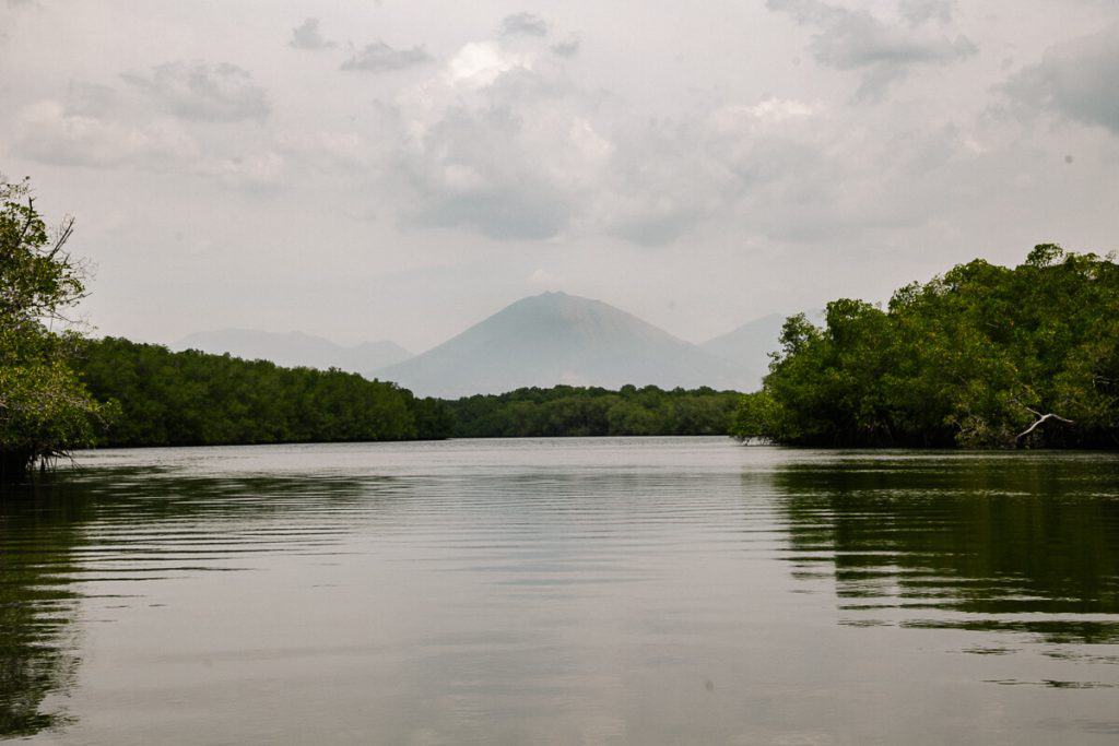 Bahia de Jiquilisco is, with 100,000 hectares, is the largest mangrove area in the region.