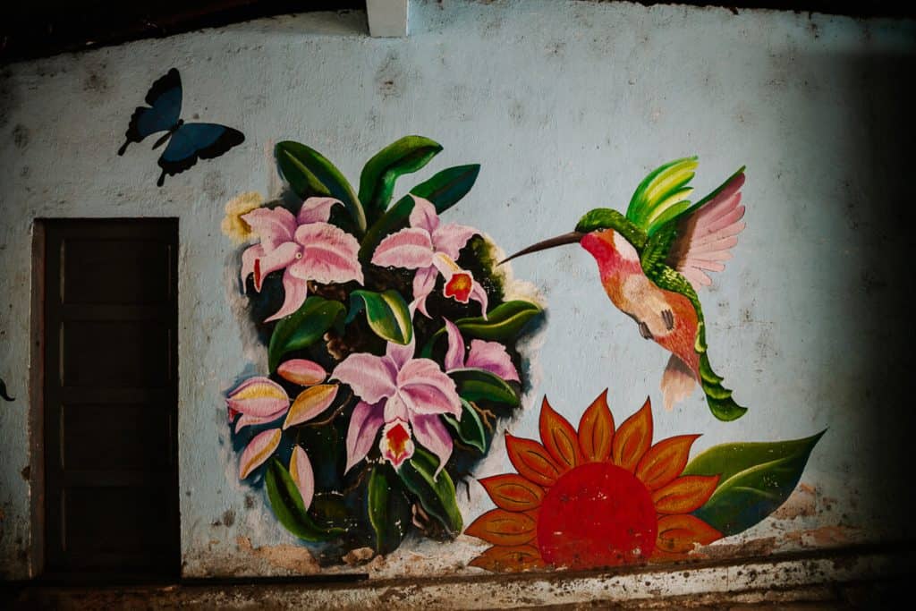 Street art in Juayua - a small and quiet village, located in the mountains along La Ruta de las Flores in El Salvador.