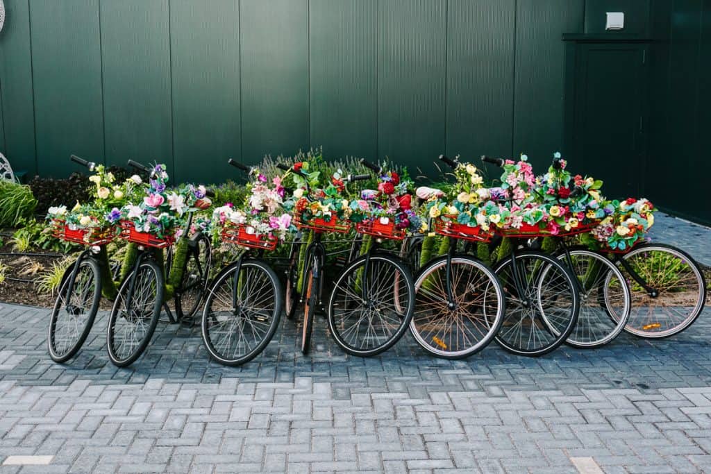 Bikes decorated with flowers in the Netherlands.
