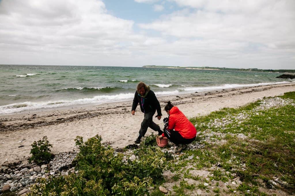 If you enjoy the outdoors and good food, then a beach safari on Fyn in Denmark is one of the best things to do. And that is something very different from what you might expect. Accompanied by an expert outdoor guide, you'll embark on a journey along the beach, searching for edible plants and herbs.