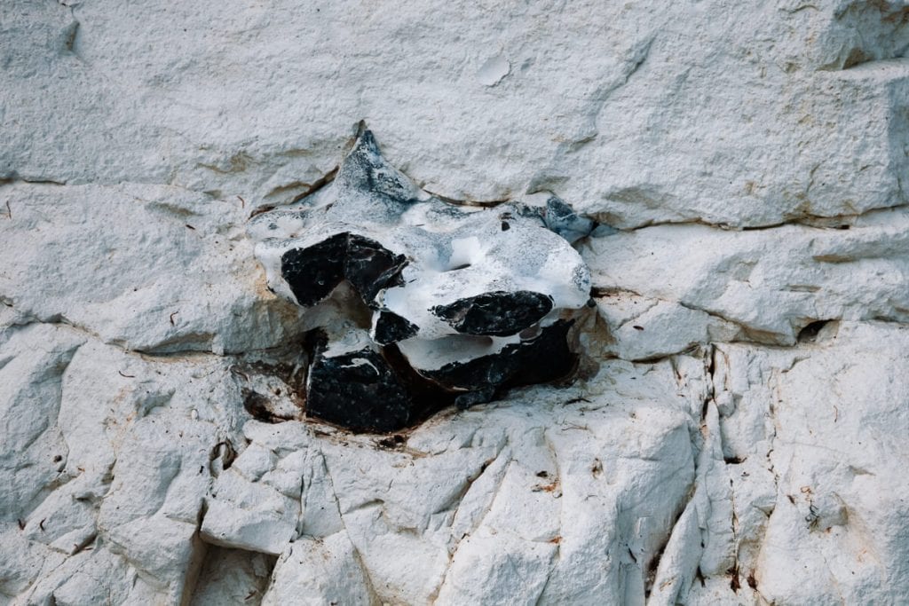 Stevns Klint is renowned for its traces of the meteorite that crashed on Earth 65 million years ago, resulting in the extinction of over half of all animal species, including dinosaurs. 