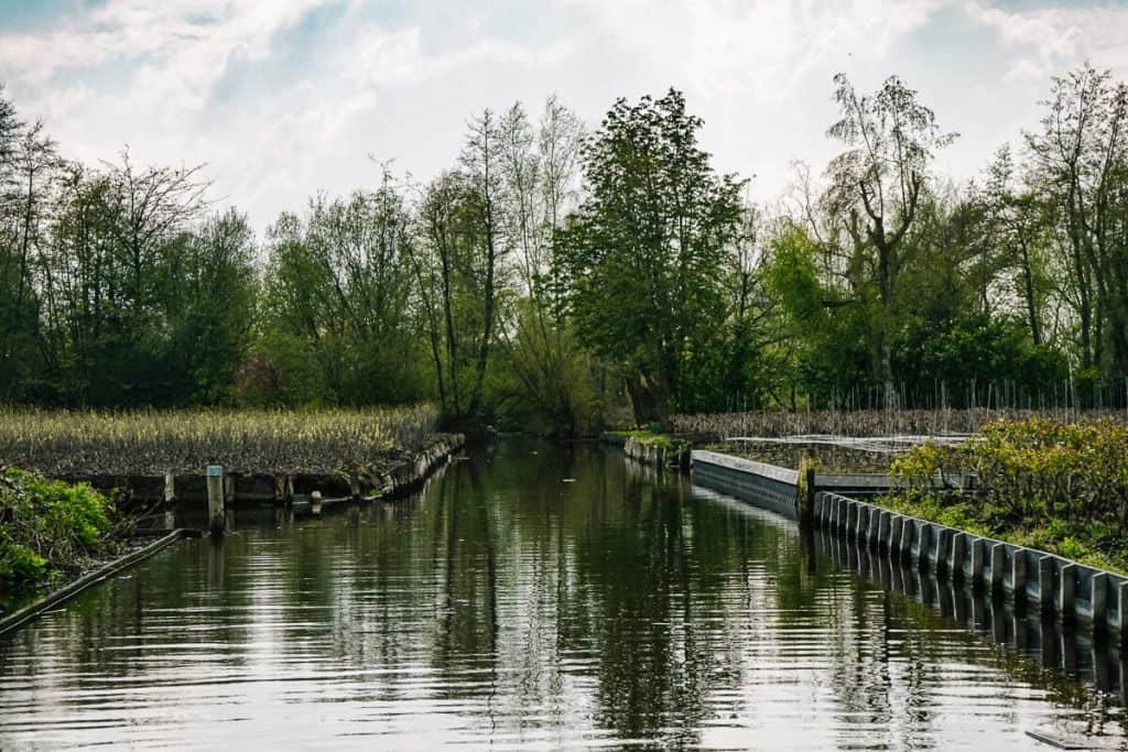One of the best things to do in Aalsmeer on a nice day is to take a boat tour on the Westeinder plassen, a nature reserve and the largest freshwater lake around Amsterdam. 