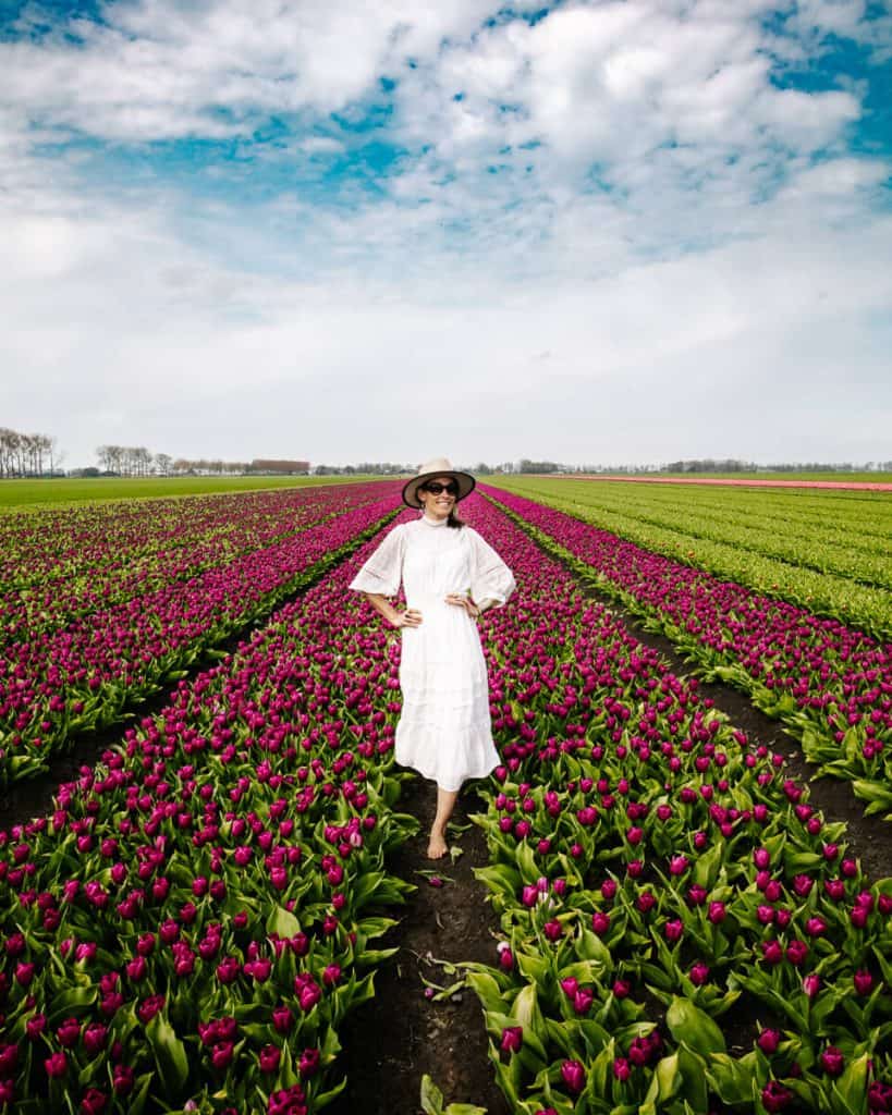 Deborah at the tulip fields in the countryside of Amsterdam.