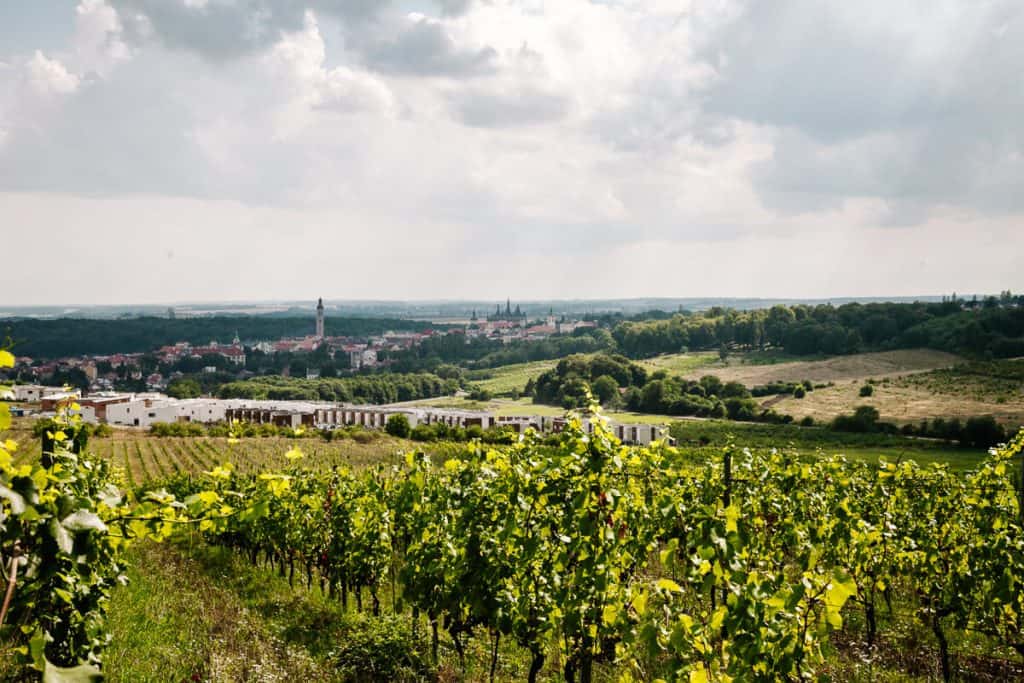 Do you like wine as much as I do? Then make sure to include a wine tasting at Vinné Sklepy Kutna Hora in your Czech Republic itinerary and 3 days road trip.