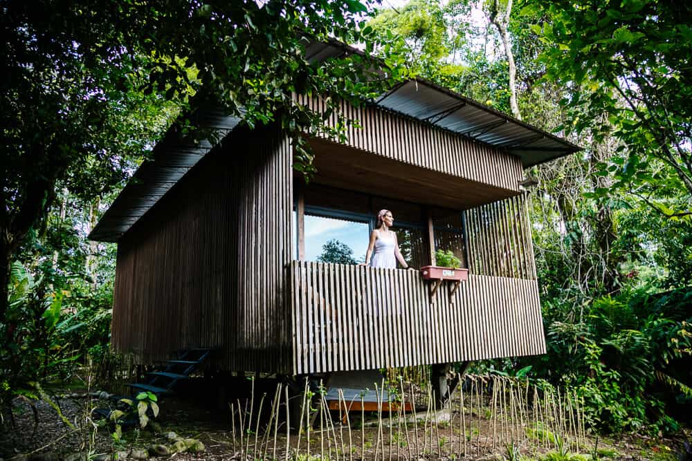 Ontdek Hamadryade Lodge in Ecuador, een waar paradijsje, gelegen op een berg in het regenwoud, nabij het dorpje Rio Napo.