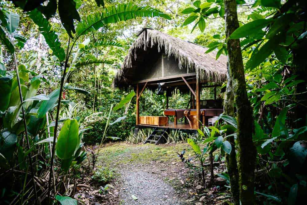 Hamadryade Lodge Ecuador staat bekend om haar spa- en yogacentrum. 