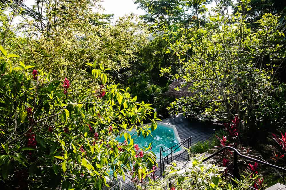 Ontdek Hamadryade Lodge, een van de jungle lodges en boutique hotels, gelegen op een berg in het regenwoud, nabij het dorpje Rio Napo in Ecuador.
