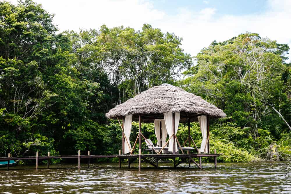 La Selva Jungle Lodge is located at the Laguna Garzacocha in the Amazon of Ecuador.