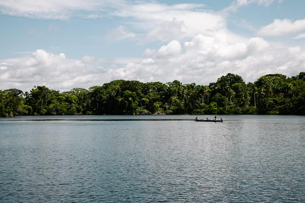 La Selva Jungle Lodge is located in the Yasuní Reserve, just on the border of the Yasuní National Park and can only be reached by boat on the Rio Napo.