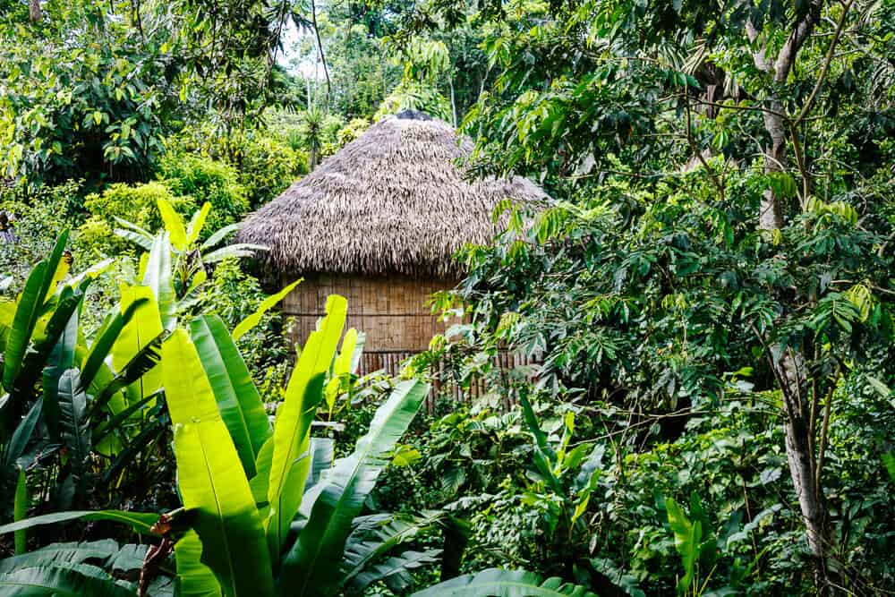 Bungalow van La Selva Jungle Lodge in de Amazone van Ecuador.