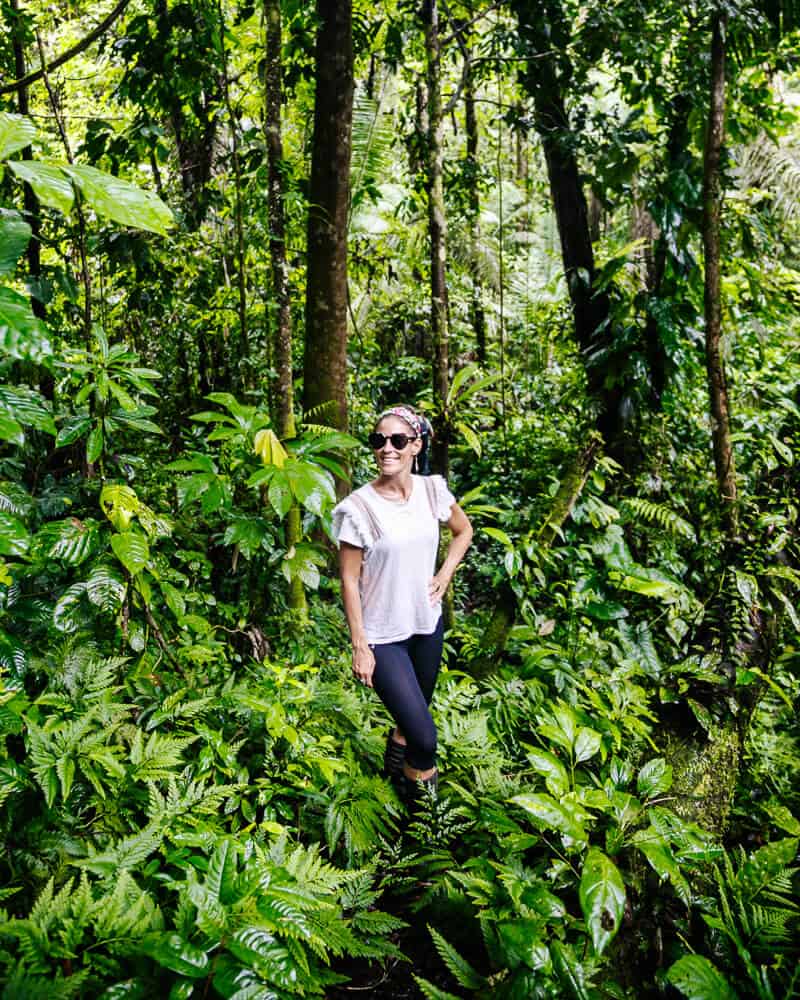 Discover La Selva Jungle Lodge, idyllically located on Laguna Garzacocha in Ecuador, where luxury and nature come together in a perfect way.