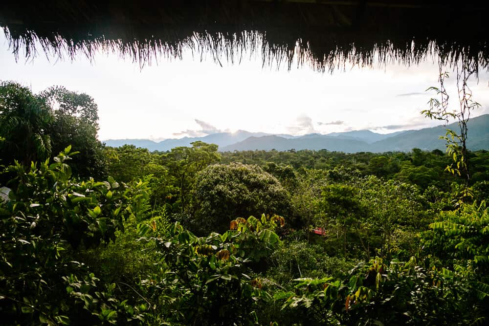 Pacha Ecolodge Ecuador has its own restaurant, overlooking the green jungle surroundings and serving tasty local dishes.