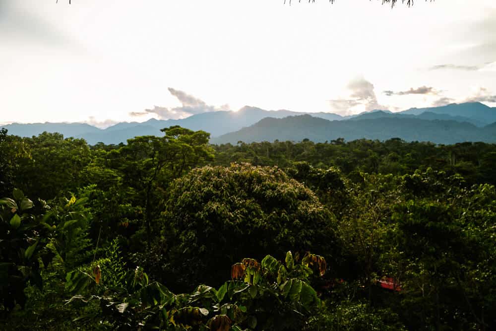 Pacha Ecolodge ligt in een groene jungle omgeving direct aan de Misahuallí rivier in het kleine stadje Archidona in Ecuador.