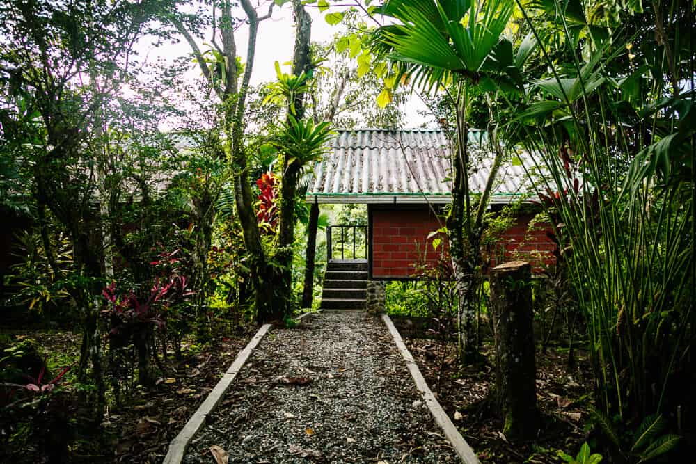 Pacha Ecolodge is located in a green jungle environment directly on the Misahuallí River in the small town of Archidona in Ecuador. 