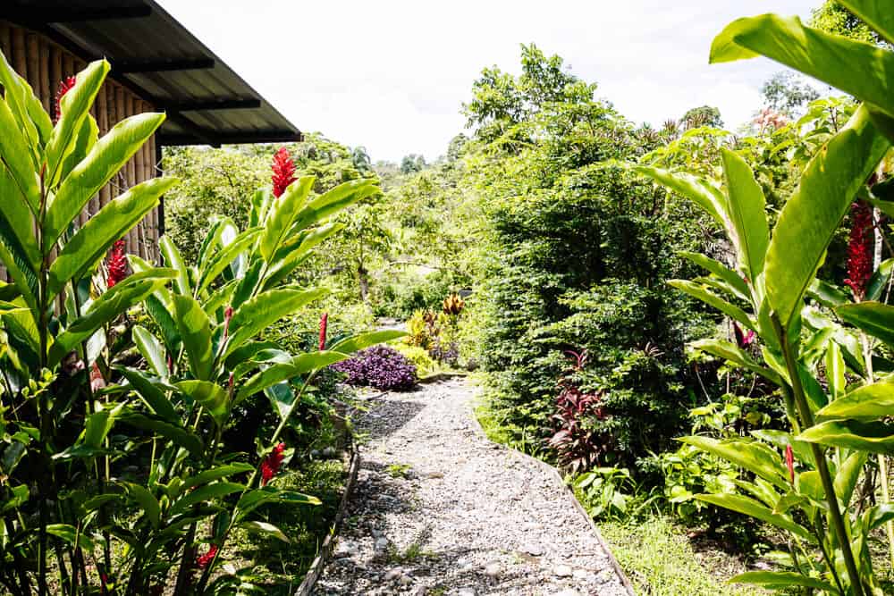 Pacha Ecolodge ligt in het kleine plaatsje Archidona in de provincie Napo op ongeveer drie uur rijden vanuit Quito of Baños in Ecuador.