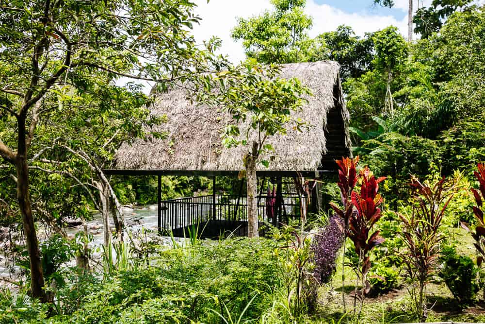 Pacha Ecolodge is located in Archidona, on the Misahuallí River in Ecuador and a perfect base to explore the beautiful surroundings.