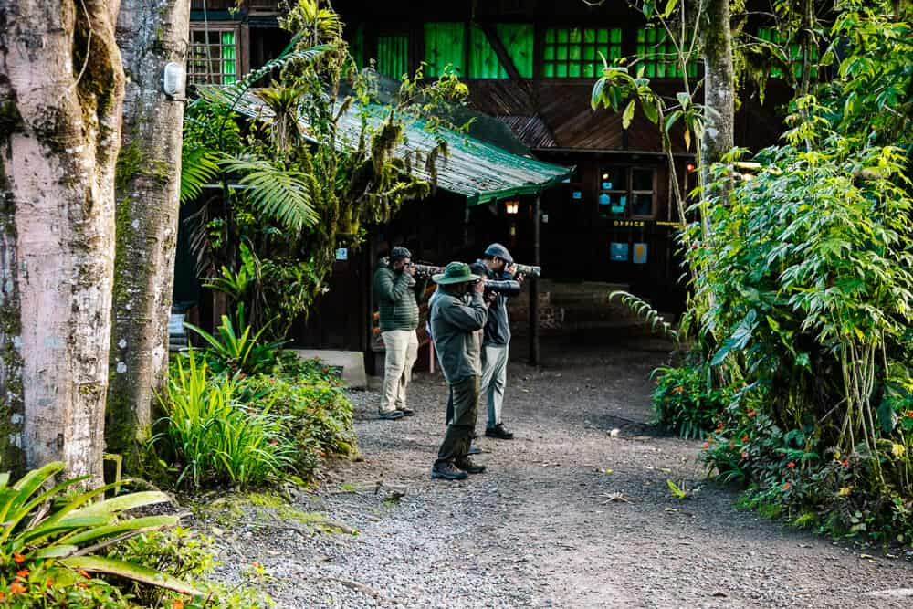Fotografen en vogelaars bij Bellavista Cloud Forest Lodge in Ecuador. Vogelaars uit de hele wereld komen hier naartoe om op zoek te gaan naar unieke soorten en natuurliefhebbers om te wandelen.