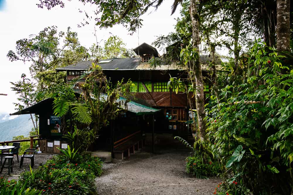 Ontdek Bellavista Cloud Forest Lodge in Ecuador. Een comfortabel verblijf en perfecte uitvalsbasis om het nevelwoud van Ecuador te ontdekken.