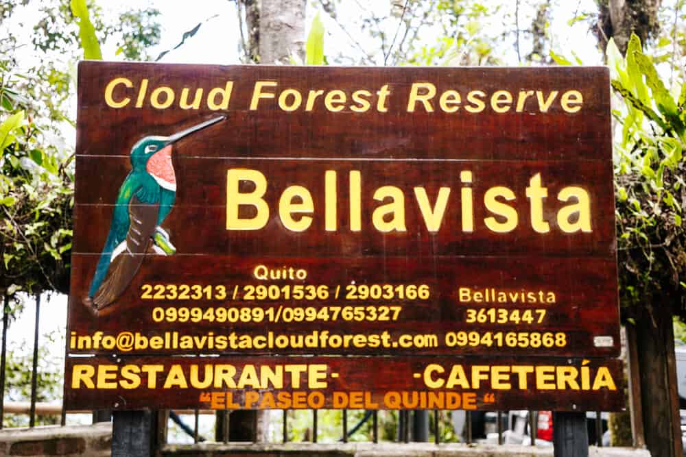 Ontdek Bellavista Cloud Forest Lodge in Ecuador. Een comfortabel verblijf en perfecte uitvalsbasis om het nevelwoud van Ecuador te ontdekken.