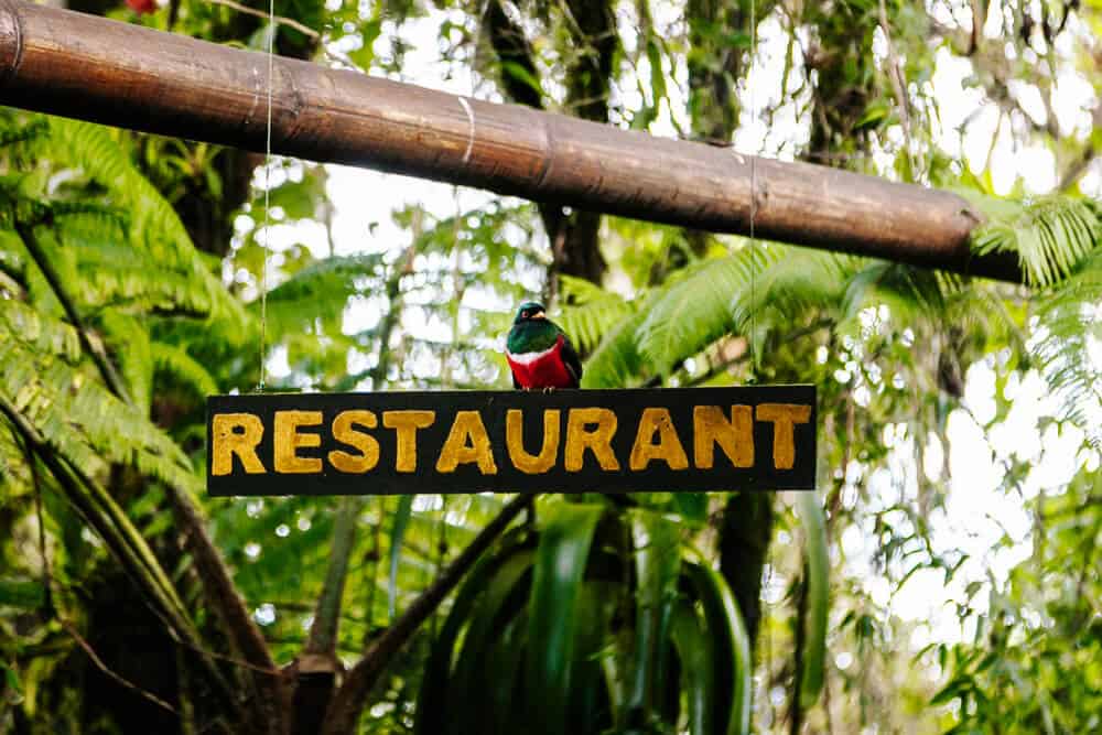 Restaurant with trogon bird in Bellavista Cloud Forest Lodge in Ecuador. 