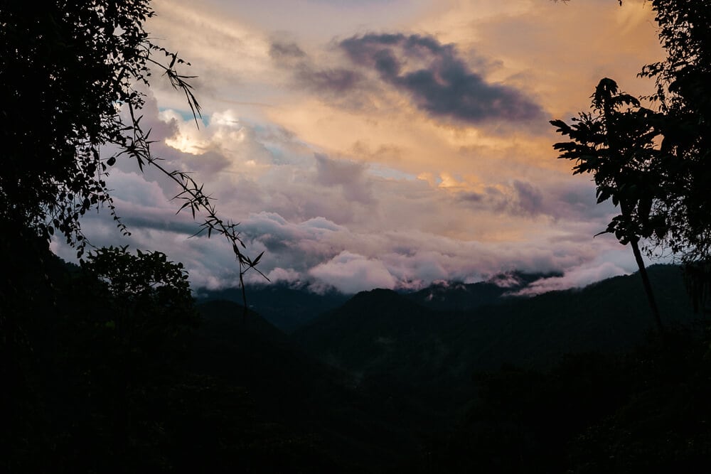 Sunset in cloud forest.
