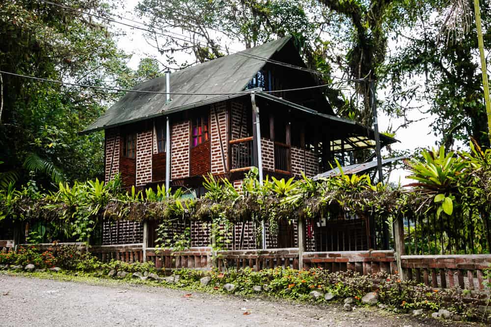 Discover Bellavista Cloud Forest Lodge Ecuador, a comfortable retreat and a perfect base to explore Ecuador's cloud forest.