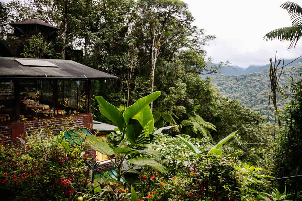 Ontdek Bellavista Cloud Forest Lodge in Ecuador. Een comfortabel verblijf en perfecte uitvalsbasis om het nevelwoud van Ecuador te ontdekken.