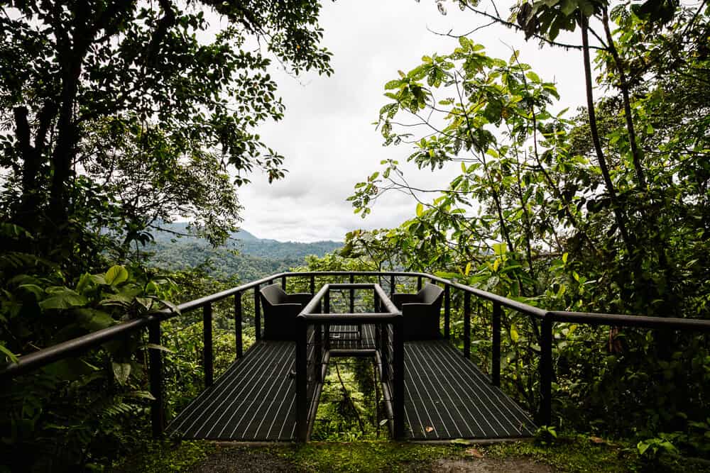 Mashpi Lodge and reserve is about a three-hour drive from Quito in Ecuador. 