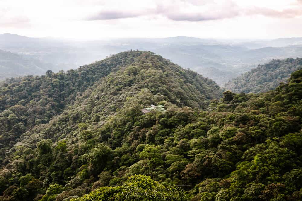 Uitzicht op Mashpi Lodge in Ecuador.
