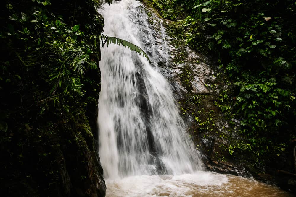 Waterfall in Mashpi Reserve.
