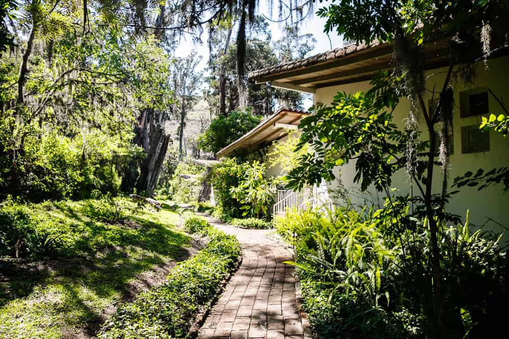 All facilities at Hacienda Piman are connected by walking paths, where you can enjoy the countless flowers and birds.