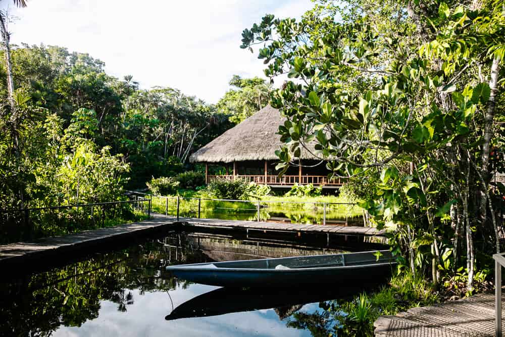 Ontdek Sacha Lodge, aan het Pilchicocha meer, bij Coca, een plek waar je op luxe en comfortabele wijze de Amazone van Ecuador kunt ontdekken.