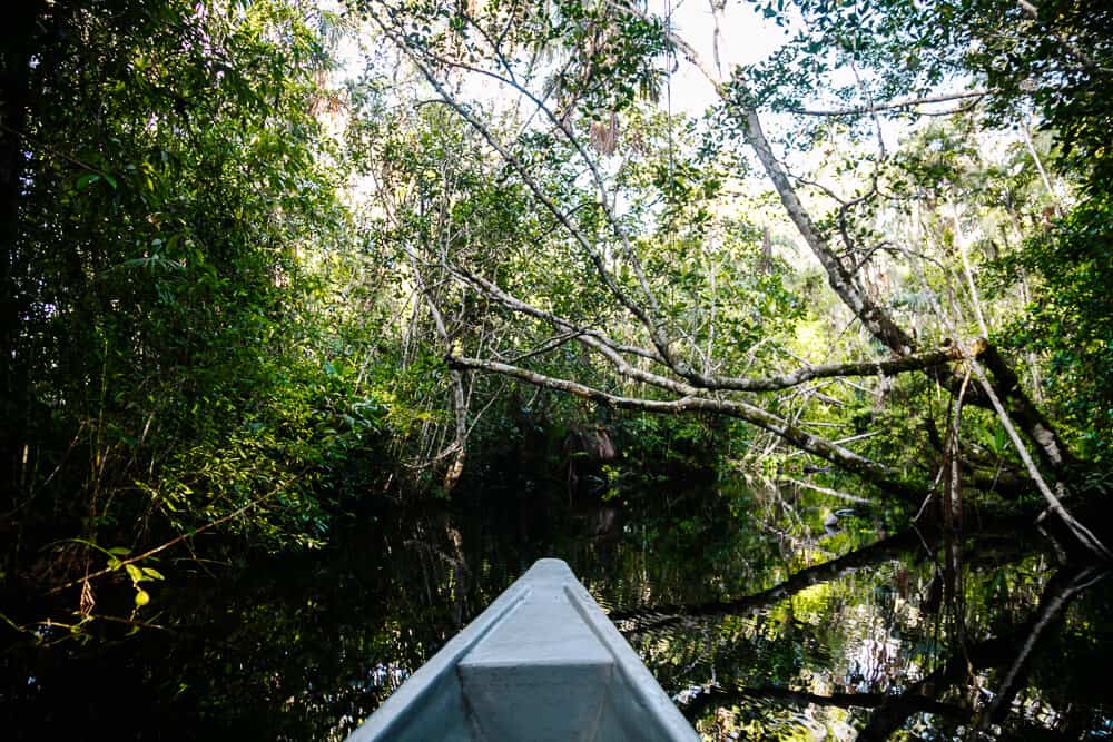 Een tocht per kano over het Pilchicocha meer en een van de kreekjes brengt je naar de 40 meter hoge uitzichttoren van Sacha Lodge in Ecuador, midden in de jungle.