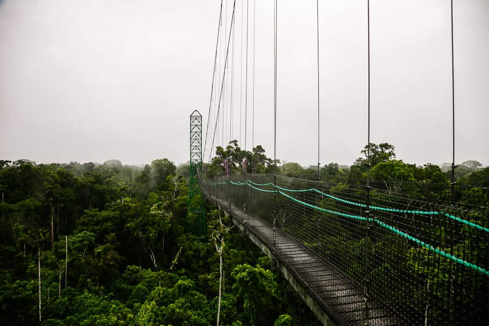 Sacha Lodge owns a 275-meter-long and 36-meter-high suspension bridge in the Amazon of Ecuador.