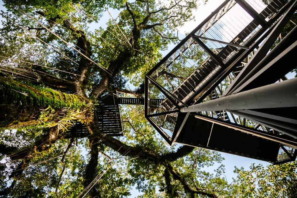 Sacha Lodge heeft een uitzichttoren midden in de jungle van Ecuador.