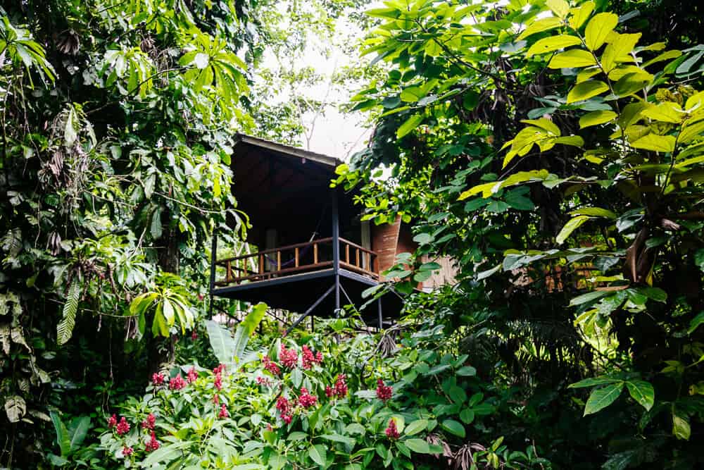 Het complex van Sacha Lodge bestaat uit twee restaurants, een receptie, en 26 kamers die in bungalows verspreid liggen over de jungle van Ecuador. 