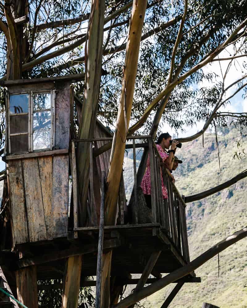 El Mirador de Oso Andino, nabij het dorpje Pimampiro in Eccuador, is een plek waar je kans hebt op het observeren.