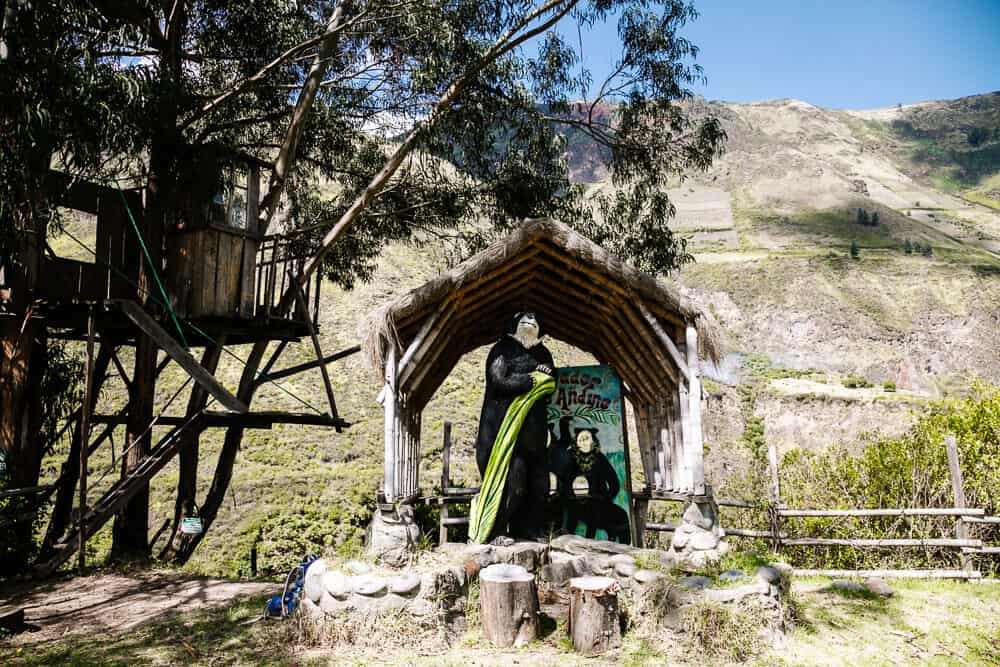 Vanaf Hacienda Piman kun je een excursie maken naar El Mirador de Oso Andino, om brilberen te spotten.