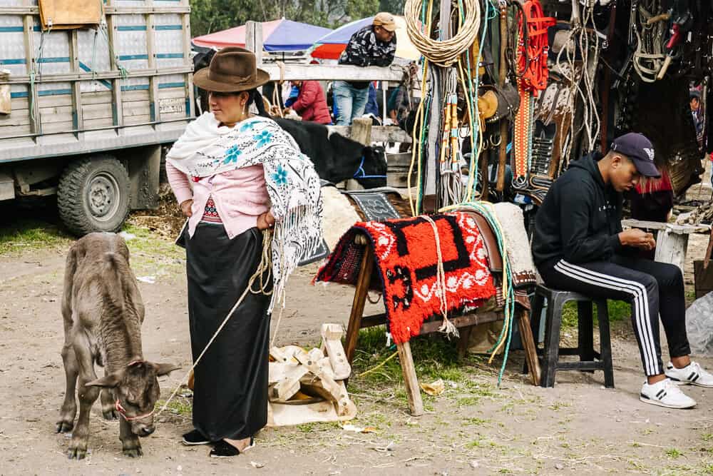 Als je op een zaterdag in Otavalo in Ecuador bent, probeer dan vroeg op te staan en een bezoek te brengen aan de veemarkt, een van de typische bezienswaardigheden.