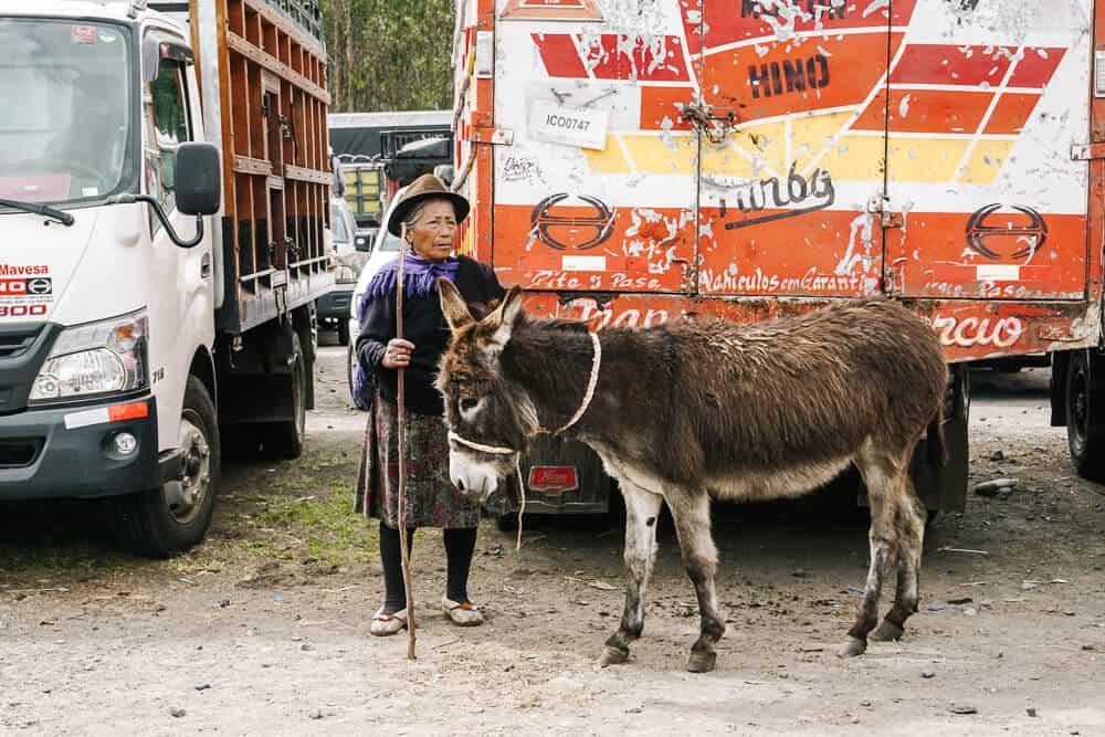 Als je op een zaterdag in Riobamba Ecuador bent, mag een bezoek aan de veemarkt niet ontbreken.