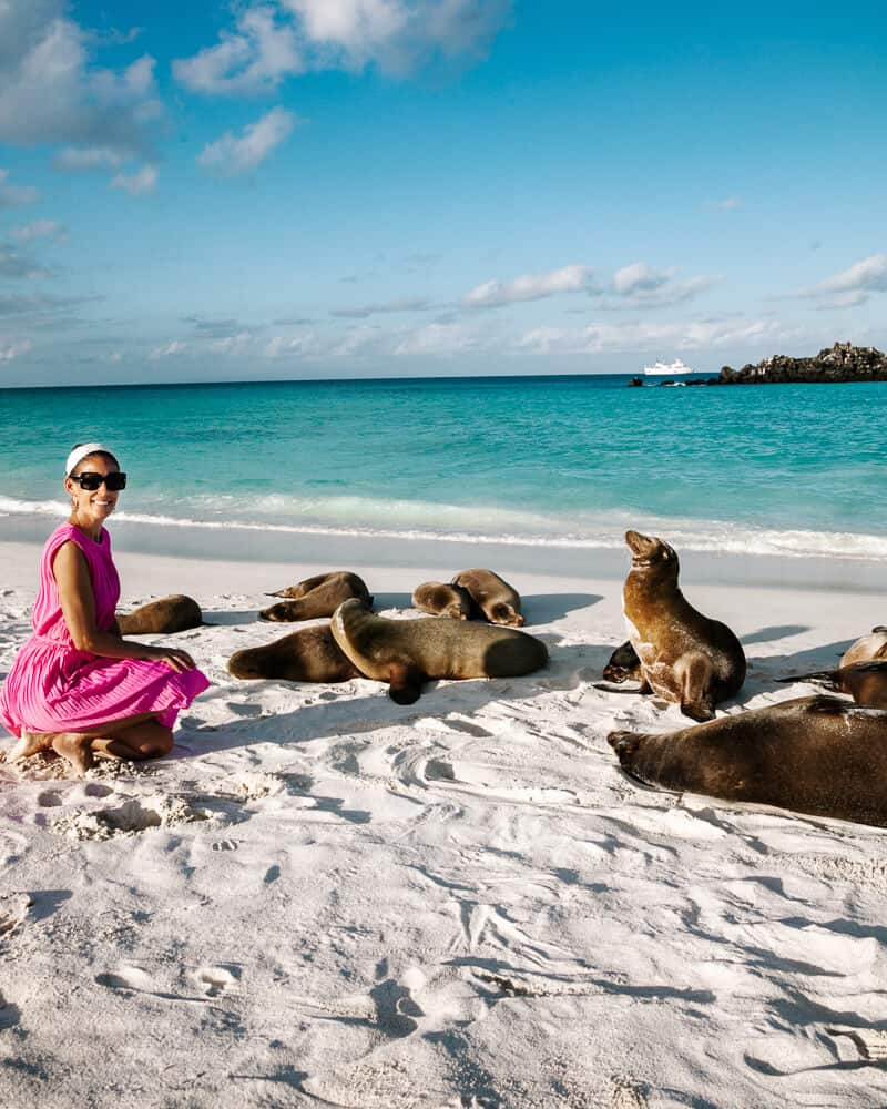 Discover everything you want to know about a trip to the Galapagos Islands in Ecuador and a stay on the Golden Galapagos Elite 4 day cruise.
