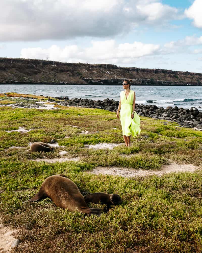 Deborah at Mosquera, located between Galapagos island Baltra and North Seymour, a small group of islands that is known for its rocks and sandy beaches where seals, iguanas, crabs and various birds live.