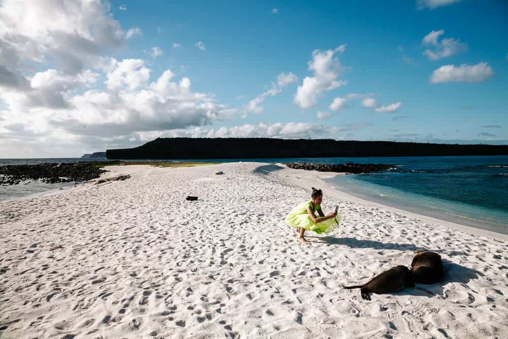 Mosquera, located between Galapagos island Baltra and North Seymour, is a small group of islands, known for its rocks and sandy beaches where seals, iguanas, crabs and various birds live.