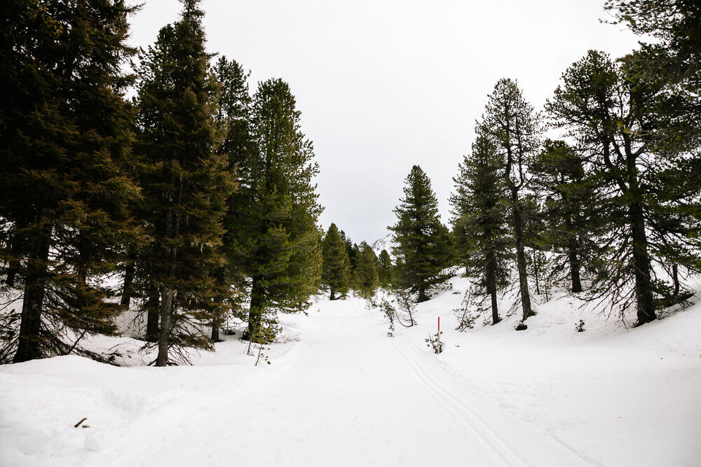 Skigebied Kuhtai biedt een aantal mooie winterwandelingen, waarbij je door een prachtig winter wonderland landschap loopt.