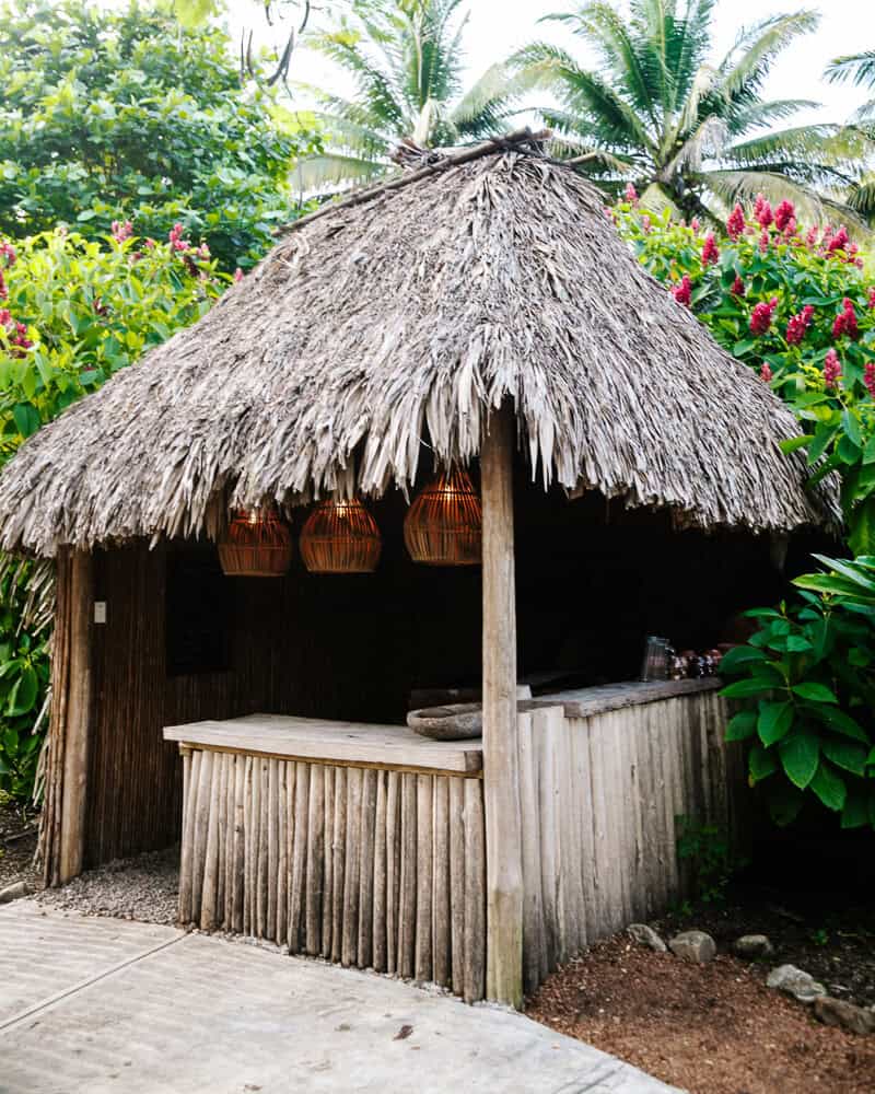 In a traditional Mayan house on the site you can dive into the culinary world of the Mayans and get started with corn tortillas, chocolate, soup and typical snacks.