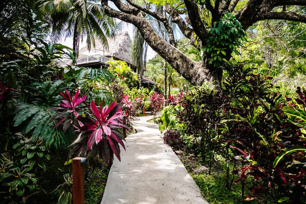 Trails around The Rainforest Lodge at Sleeping Giant in Belize.
