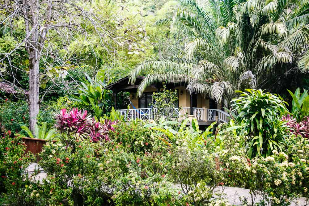 The Rainforest Lodge at Sleeping Giant in Belize telt 31 kamers die verspreid liggen over het natuurreservaat.