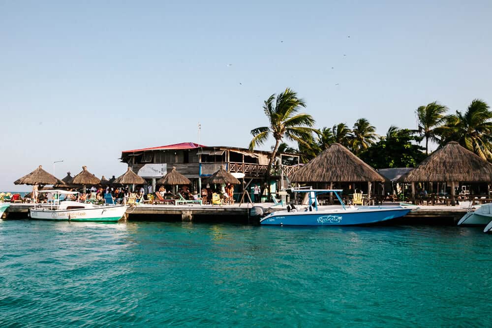 The Lazy Lizard is dé ontmoetingsplek van het eiland Caye Caulker waar je komt voor leuke muziek, een drankje en duik in de zee. 