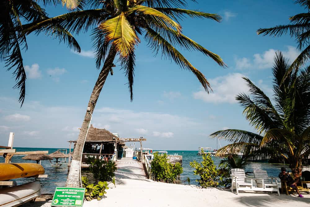 Ontdek mijn tips voor Caye Caulker, het paradijselijke eiland voor de kust van Belize, dat deel uitmaakt van het Belize Barrier Reef.
