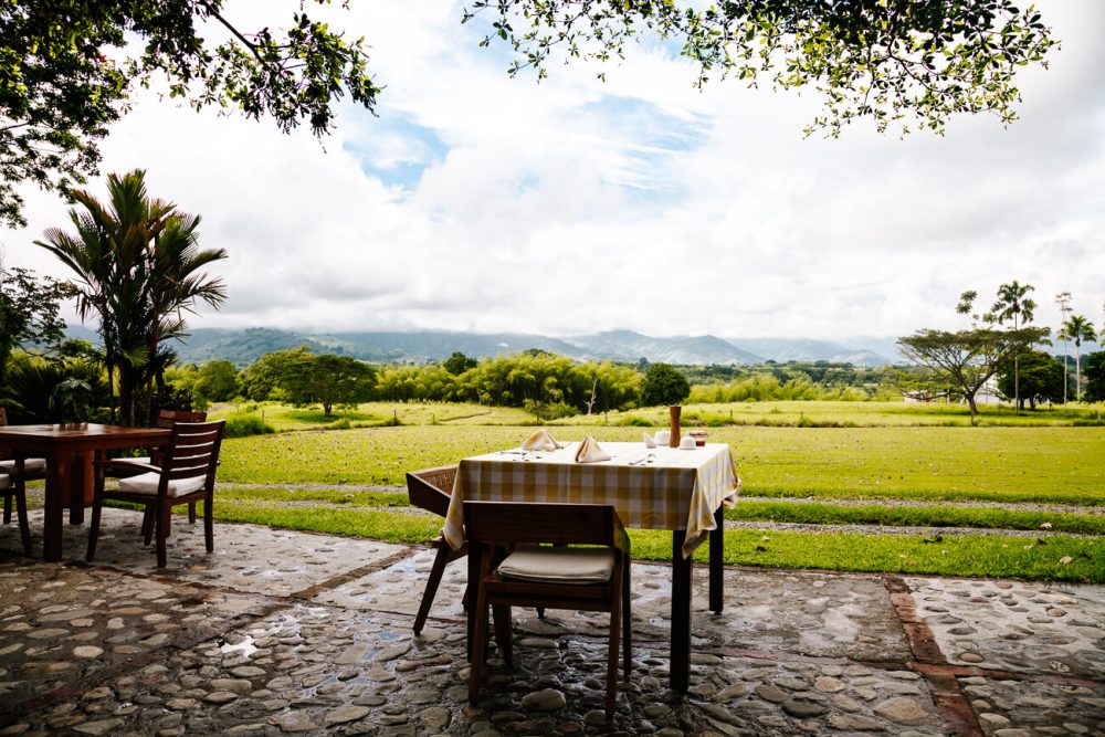 view of fields from Hacienda Bambusa, one of the best places to stay in the coffee region in Colombia